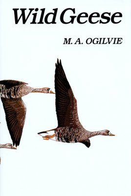 Wild Geese