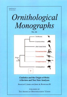 Cladistics and the Origin of Birds