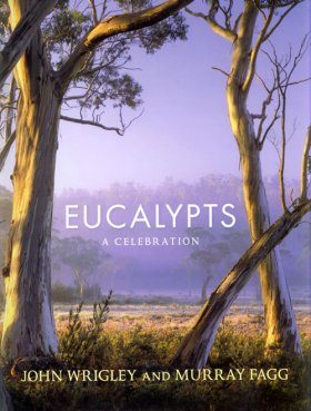 Eucalypts: A Celebration