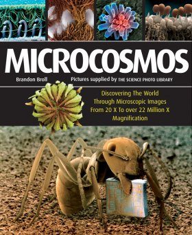 Microcosmos: Discovering the World Through Microscopic Images from 20 × to Over 22 Million × Magnification