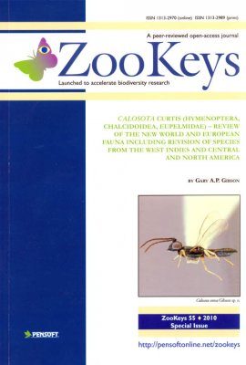 ZooKeys 55: Calosota Curtis (Hymenoptera, Chalcidoidea, Eupelmidae) - Review of the New World and European Fauna Including Revision of Species from the West Indies and Central and North America