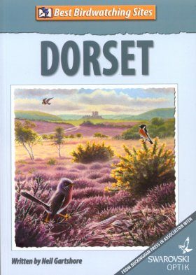 Best Birdwatching Sites: Dorset