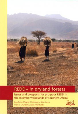 REDD+ in Dryland Forests