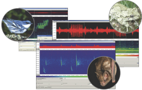 Song Scope v4.x Bioacoustics Software