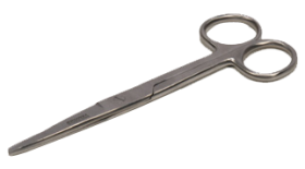 Blunt Nose Scissors