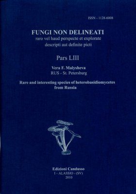 Fungi non Delineati 53: Rare and Interesting Species of Heterobasidiomycetes from Russia