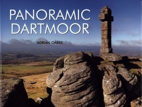 Panoramic Dartmoor