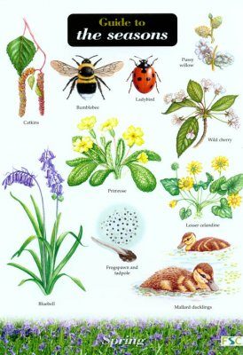 Guide to the Seasons