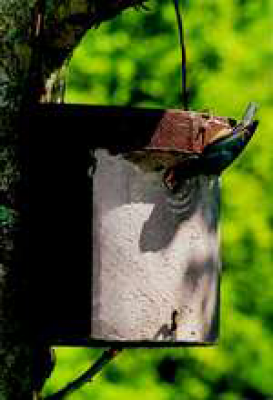 5KL Schwegler Nuthatch Nest Box