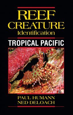 Reef Creature Identification: Tropical Pacific