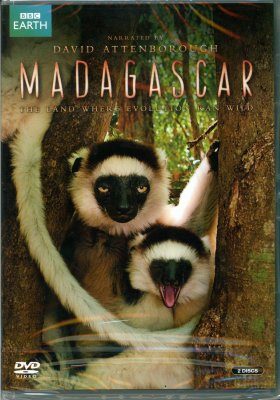 Madagascar (Region 2)