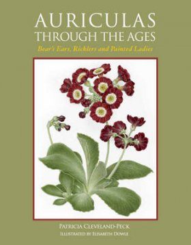 Auriculas Through the Ages