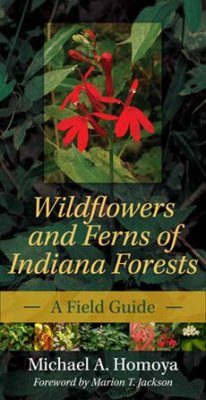 Wildflowers and Ferns of Indiana Forests