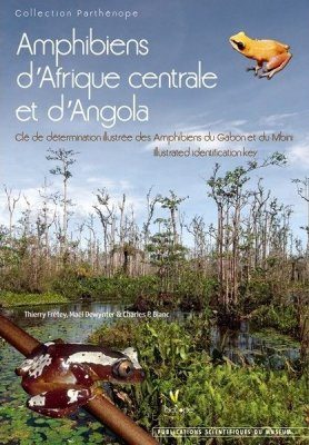 Amphibiens d'Afrique Centrale et d'Angola