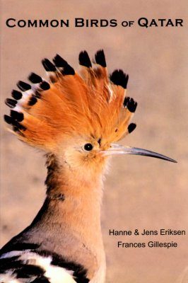 Common Birds of Qatar