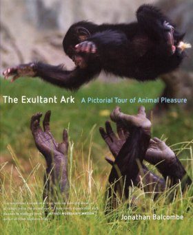 The Exultant Ark