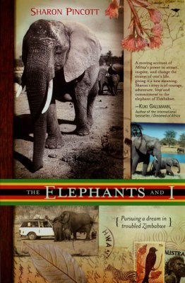 The Elephants and I