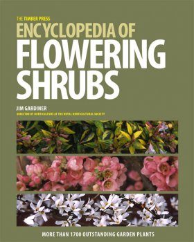 The Timber Press Encyclopedia of Flowering Shrubs