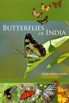 Butterflies of India