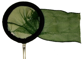 Wallaby Net
