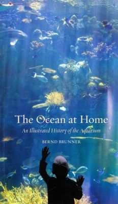 The Ocean at Home