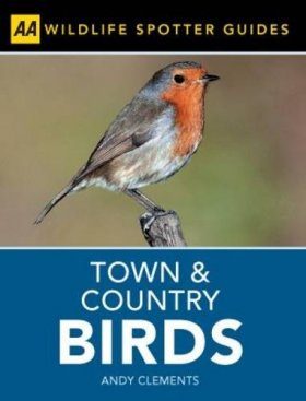 Town and Country Birds