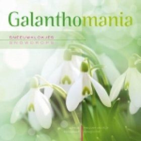 Galanthomania: Snowdrops / Sneeuwklokjes