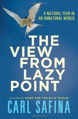 The View from Lazy Point