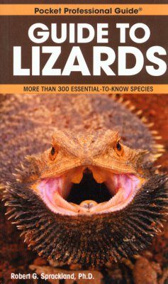 Pocket Professional Guide to Lizards