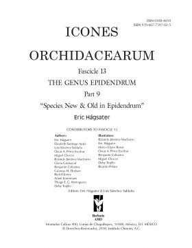 Icones Orchidacearum, Fascicle 13