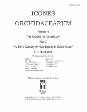 Icones Orchidacearum, Fascicle 4