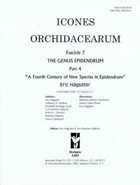 Icones Orchidacearum, Fascicle 7