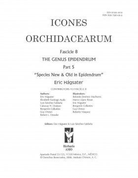 Icones Orchidacearum, Fascicle 8