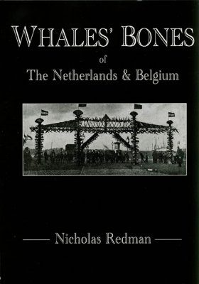 Whales' Bones of The Netherlands and Belgium