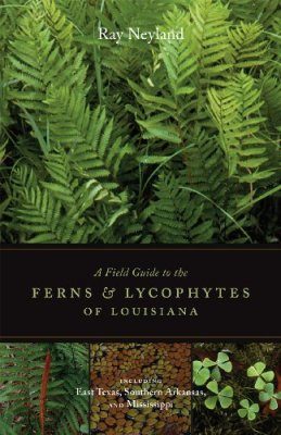 A Field Guide to the Ferns and Lycophytes of Louisiana