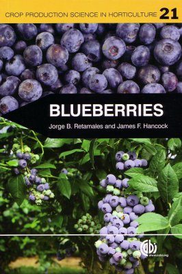 Blueberries