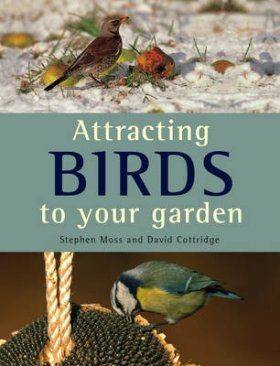 Attracting Birds to Your Garden