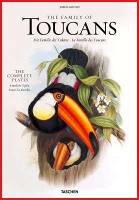 The Family of Toucans