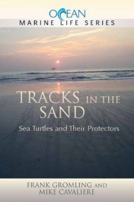 Tracks in the Sand