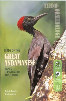 Birds of the Great Andamanese