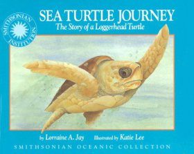 Sea Turtle Journey