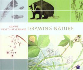Drawing Nature