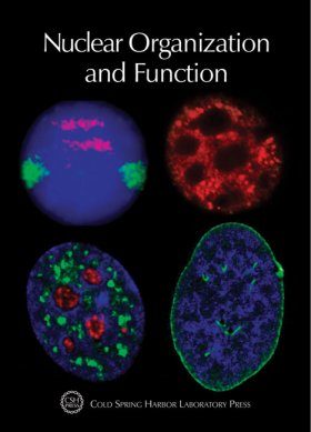 Nuclear Organization and Function