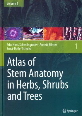 Atlas of Stem Anatomy in Herbs, Shrubs and Trees, Volume 1