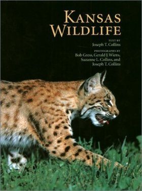 Kansas Wildlife