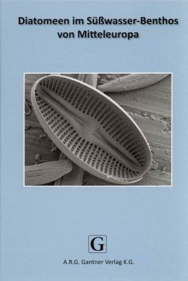 Diatomeen im Süßwasser-Benthos von Mitteleuropa