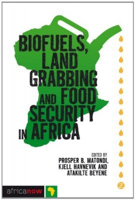 Biofuels, Land Grabbing and Food Security in Africa