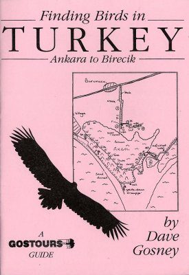 Finding Birds in Turkey