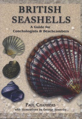 British Seashells
