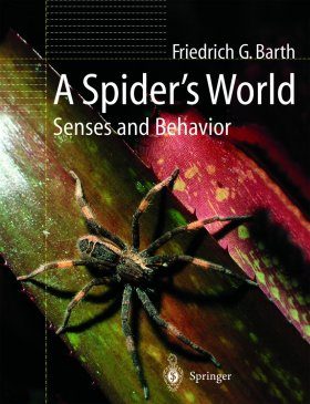 A Spider's World